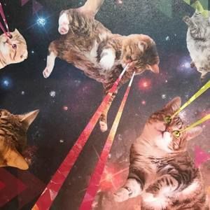 Meet your Posher, Rob